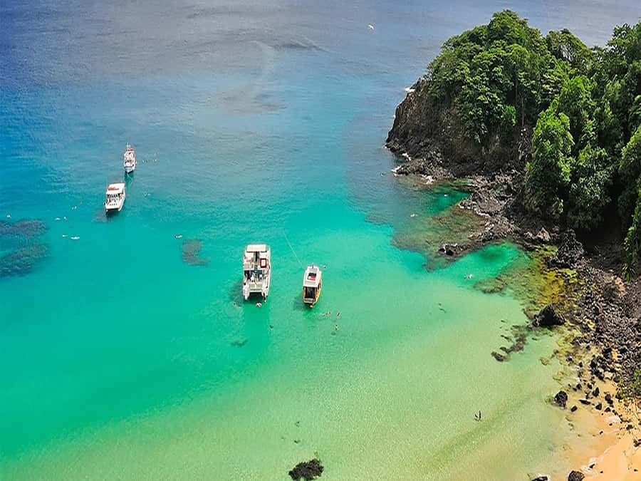 Explore Fernando de Noronha: 7-Hour Ilhatour - Shared-group logistics: pickup, English guide, and small group comfort