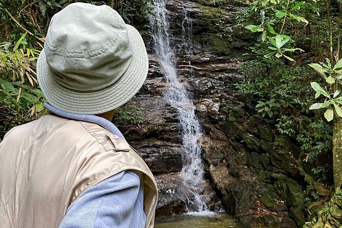 Hiking in the Tijuca Forest : Waterfalls and Caves - Cascatinha Taunay and Forest Waterfalls: Cool Off, Then Watch for Bugs