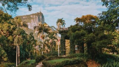 Rio de Janeiro: 4-Hour Botanical Garden & Tijuca Forest Tour - Vista Chinesa at 388 meters: the weekday-only payoff