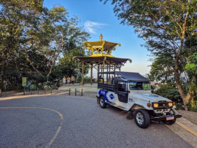Rio de Janeiro: Guided Jeep Tour through Tijuca Rainforest - On the drive in: viewpoints, monkey waterfall, and the reforestation lesson
