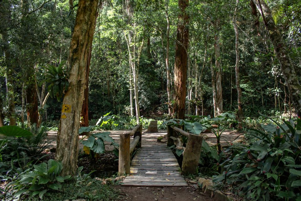 Rio: Half-Day Jeep Tour at Floresta da Tijuca - What to bring (and what to wear) so the day feels easy