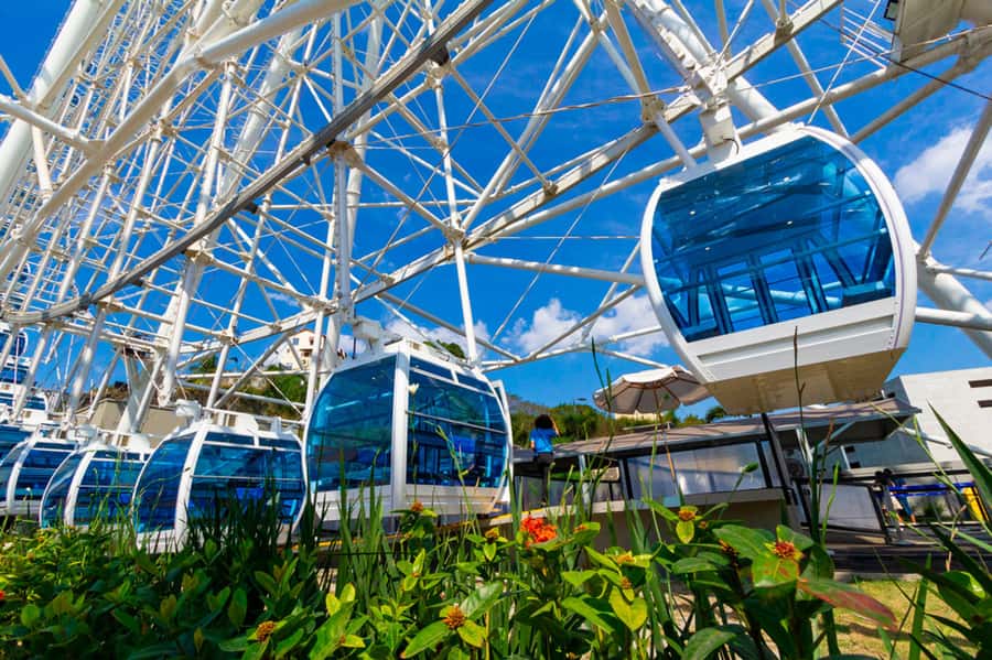 Rio: Museum of Tomorrow, Yup Star & Olympic Boulevard - Getting to Porto Maravilha and Olympic Boulevard From Copacabana and Beyond