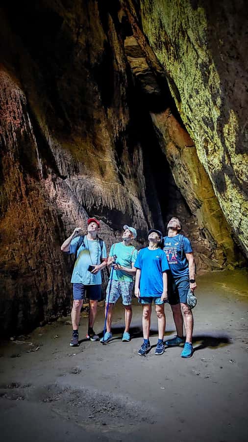 Rio: Tijuca Forest Small Group Hike to Caves and Waterfalls - Key Points Before You Go