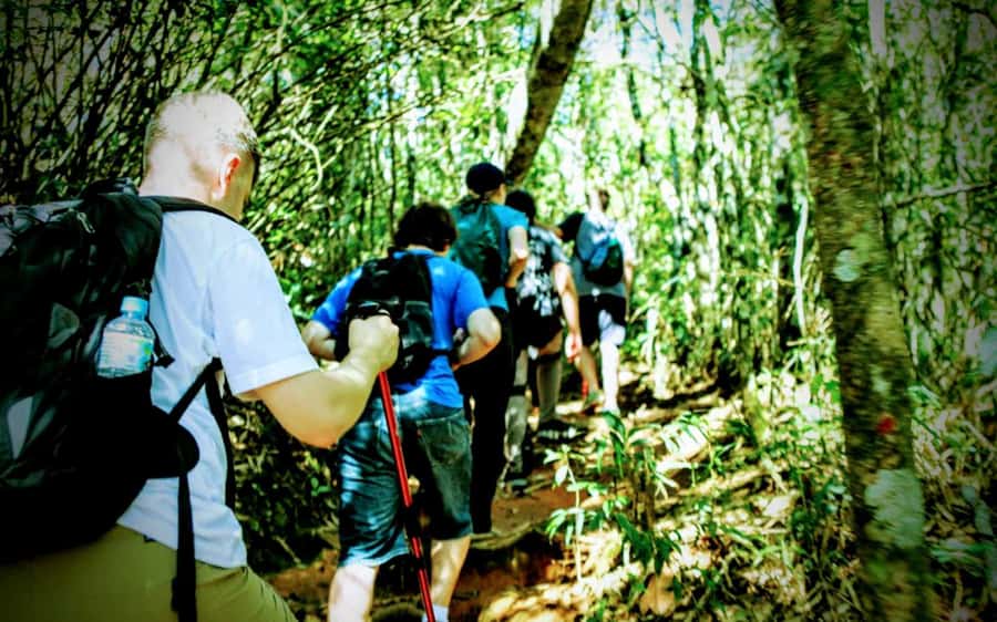 Rio: Tijuca National Park Small-Group Hike to Pedra Bonita - Stop points that break up the climb without interrupting the flow