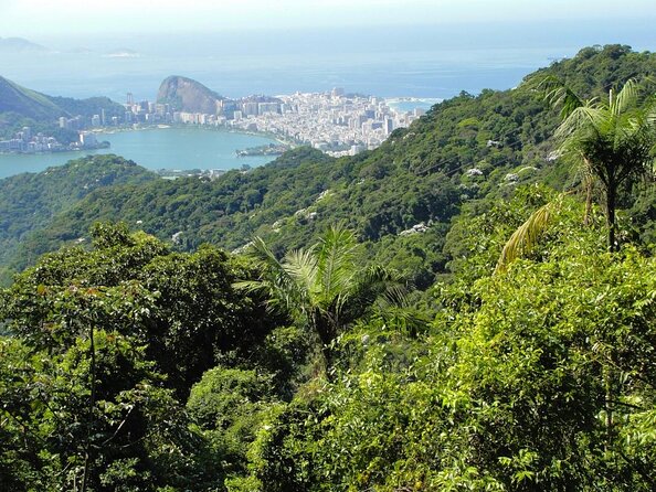 Tijuca National Park and all its wonders - Key highlights you’ll actually feel