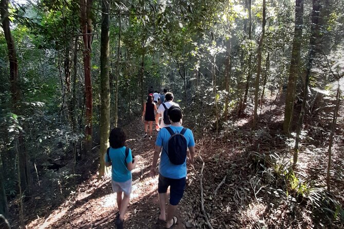 Tijuca National Park and all its wonders - Why Tijuca feels like a fast escape from Rio