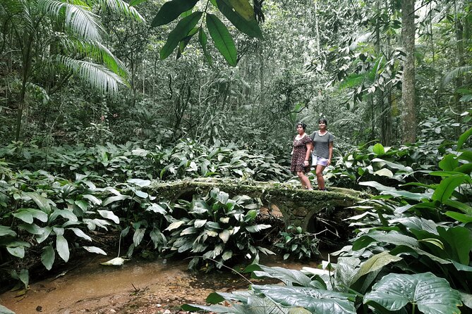 Tijuca National Park and all its wonders - Other waterfall stops: dipping, resting, and real rainforest time