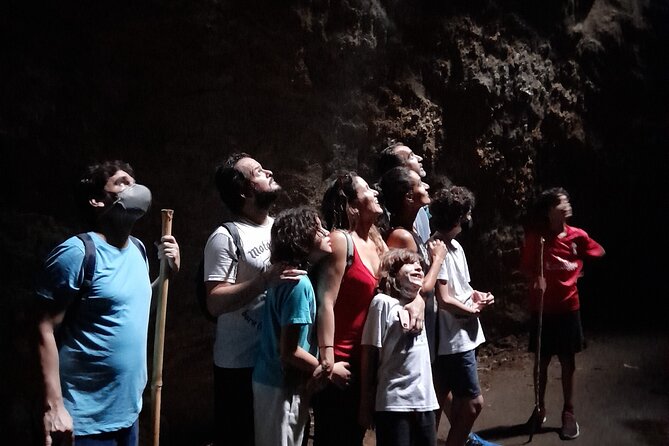 Tijuca National Park and all its wonders - Eco-minded conservation, with local NGO support